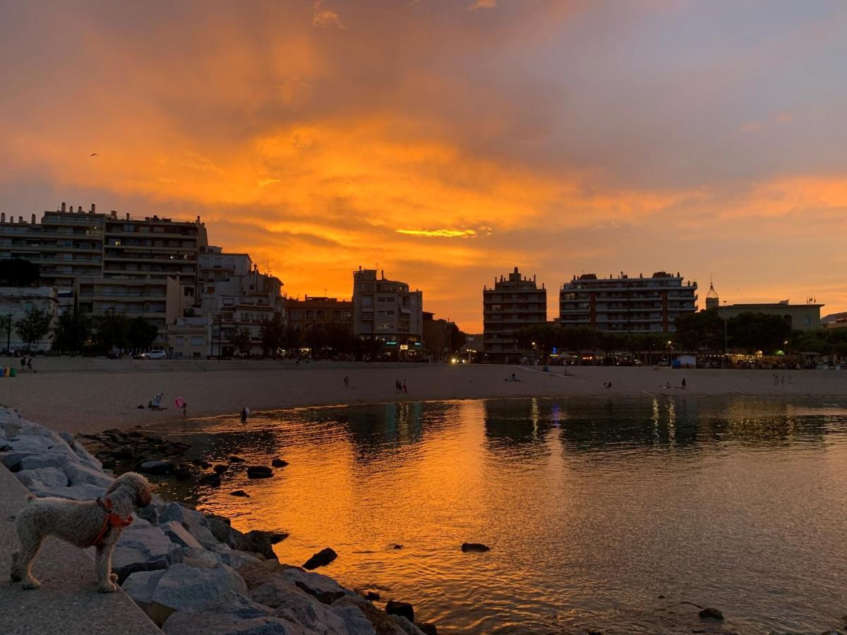 Notaria-Apartamento Y Estudio En Casco Antiguo, Al Lado De Playa, Rambla Y Monasterio, Con Acceso A Terraza Ajardinada Sant Feliu de Guíxols Buitenkant foto
